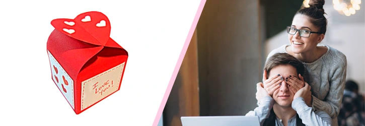 Sorpresas para Mi Novio