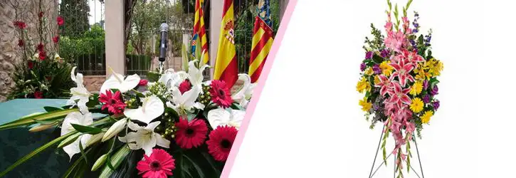 Arreglos Institucionales