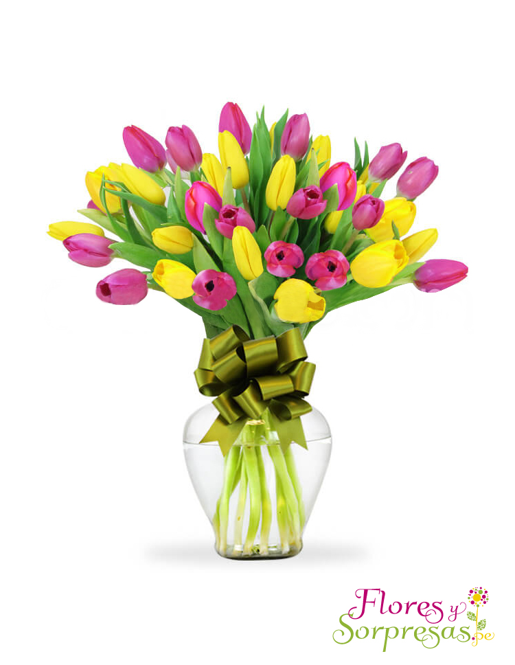 40 Sonrisas con Tulipanes de colores