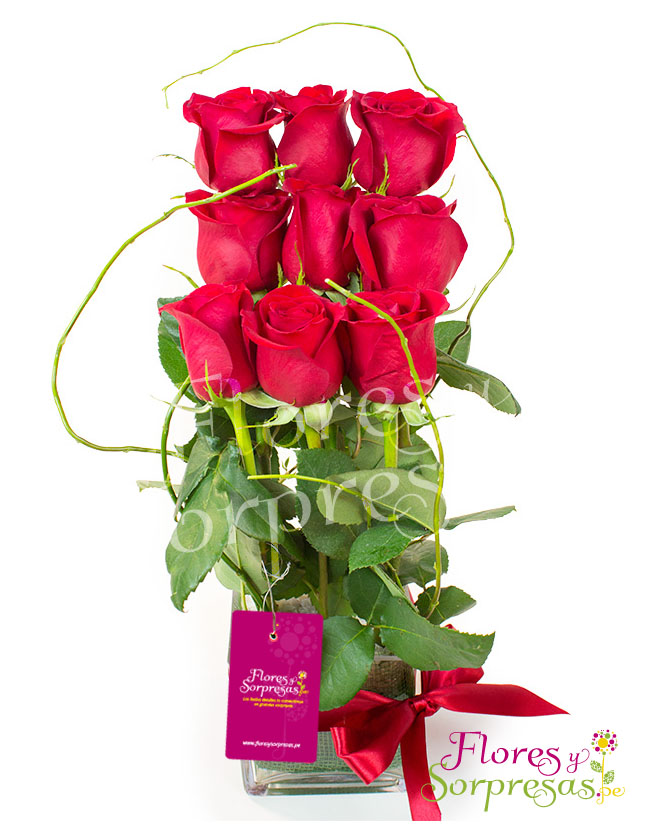 Amor mío con rosas rojas 