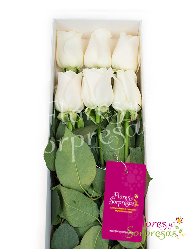 Caja de 6 rosas Blancas