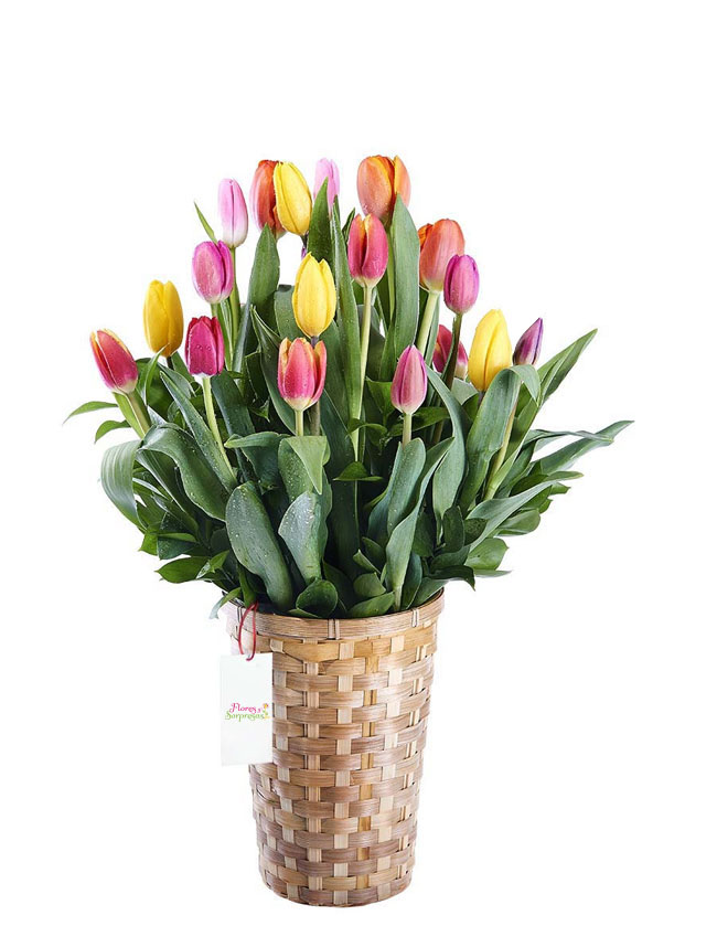 Canasta multicolor CN1228