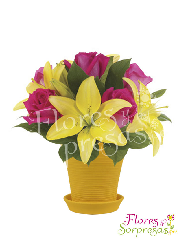 Inspiración de Amor