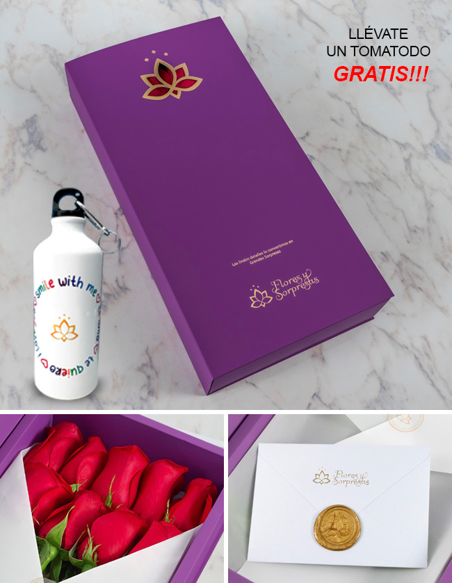 Caja Lila de 24 Rosas Rojas