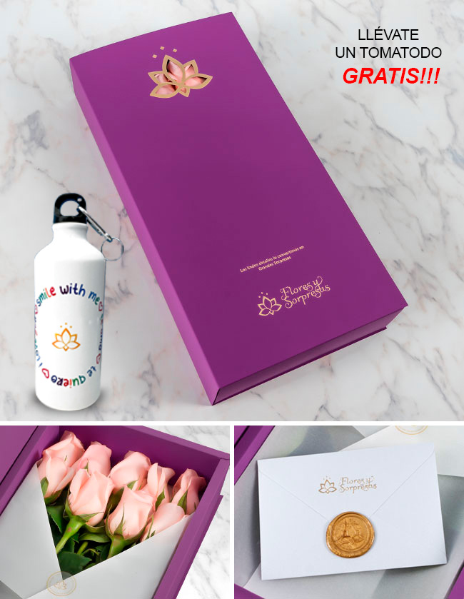 Caja Lila de 24 Rosas Rosadas