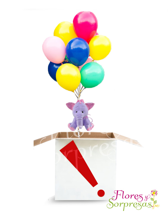 Sorpresa de Cumpleaños 23