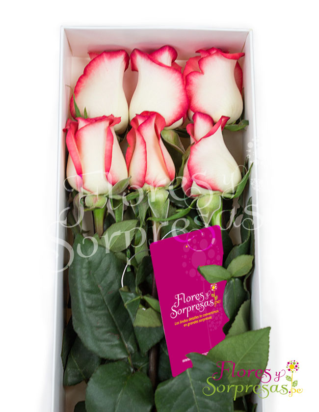 Caja de 6 rosas Bicolor 