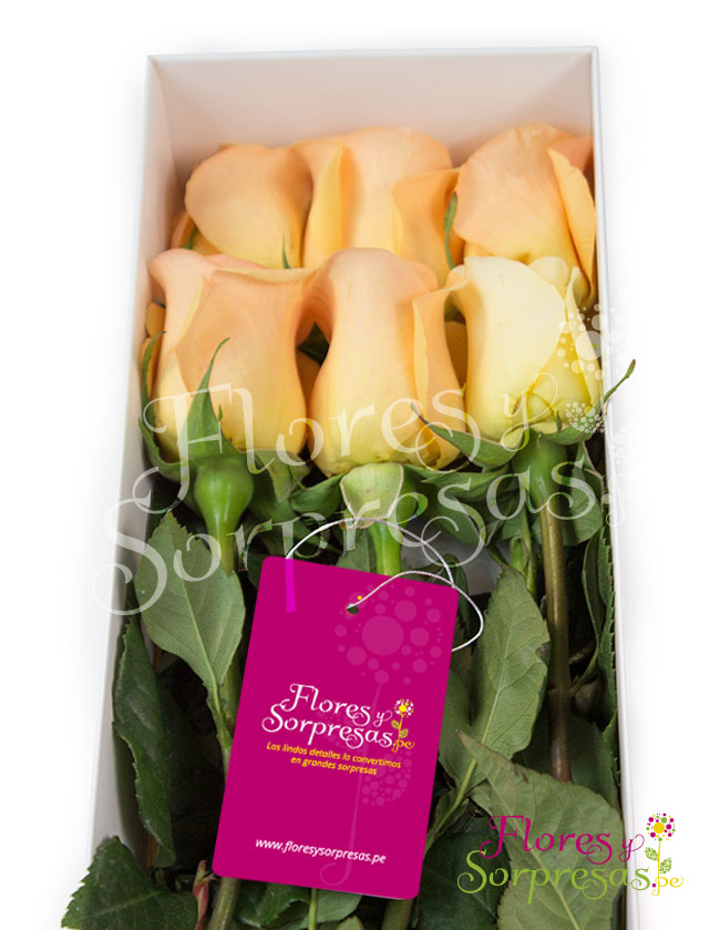 Caja de 6 rosas Damasco