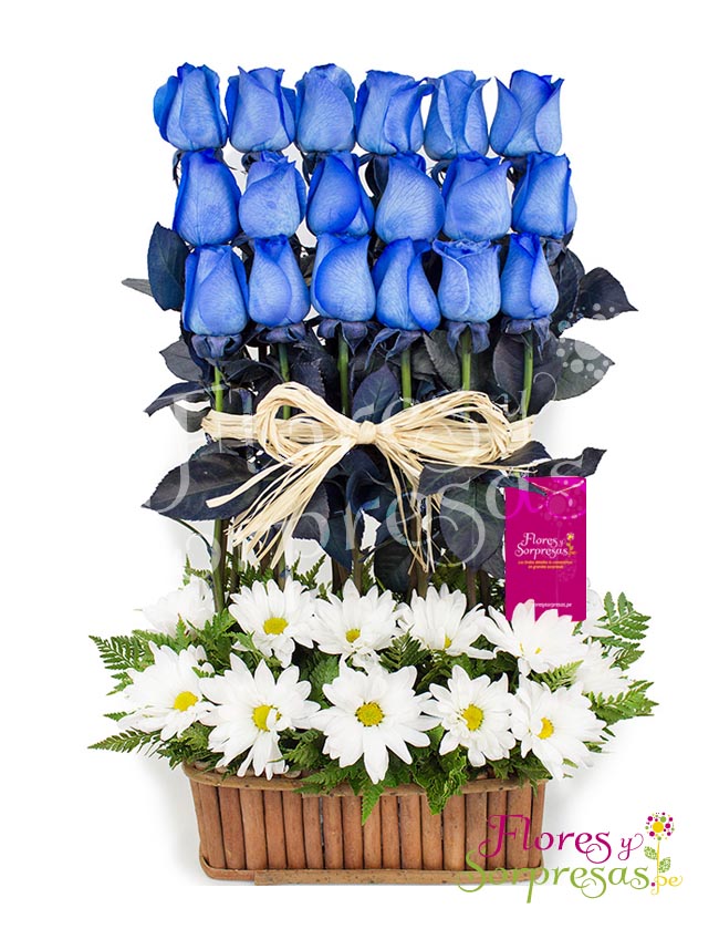Rosas Azules en Serenata Delivery Lima y Callao Rosas Azules en Serenata Delivery Lima y Callao