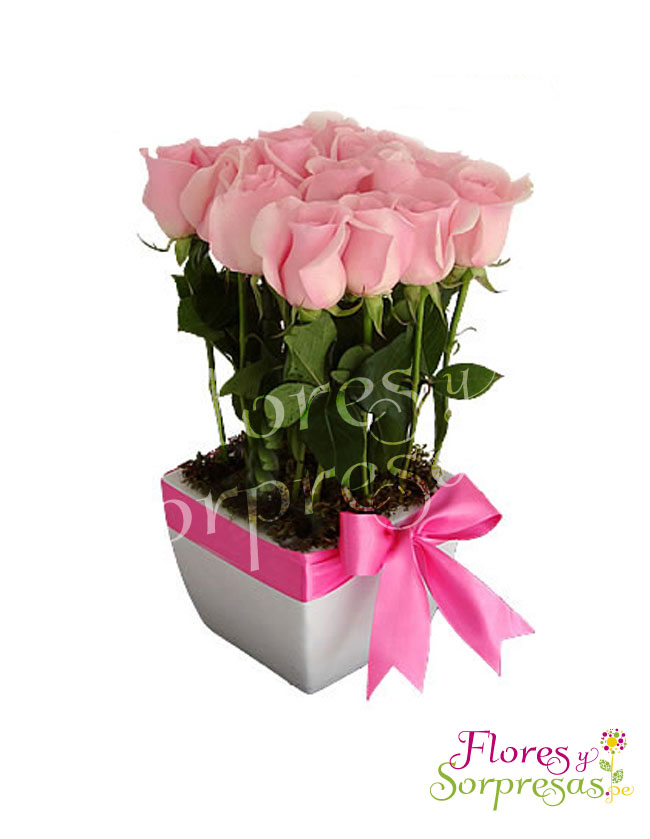 Arreglo de Nacimiento 03