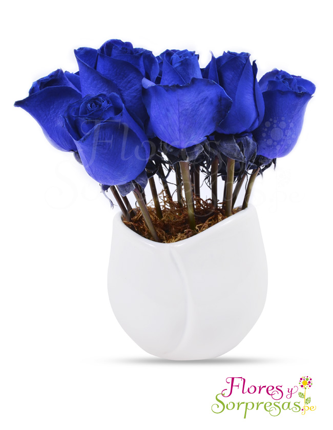 Sensación con 20 Rosas Azules Delivery Lima y Callao Sensación con 20 Rosas Azules Delivery Lima y Callao