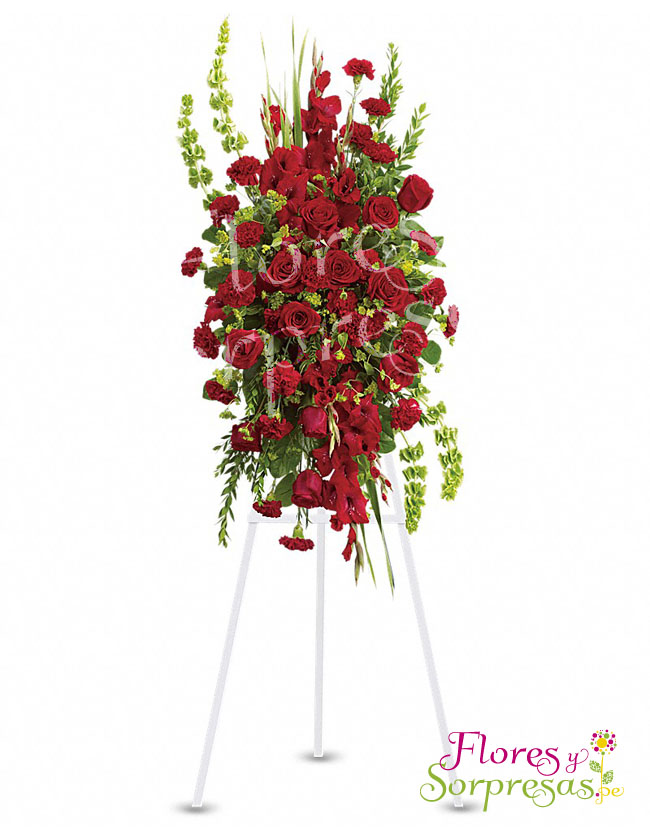 Arreglo Institucional 01