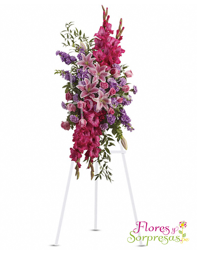 Arreglo Institucional 03