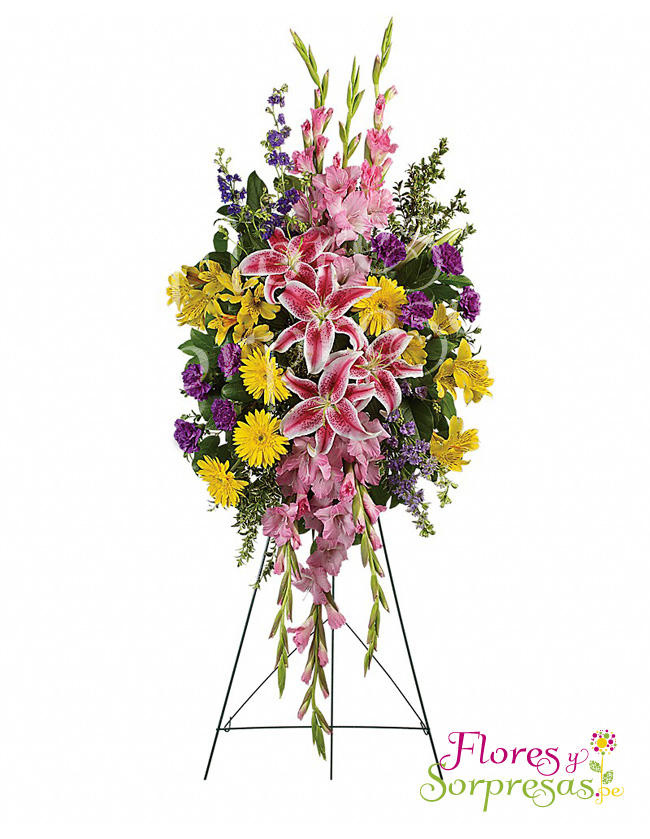 Arreglo Institucional 04