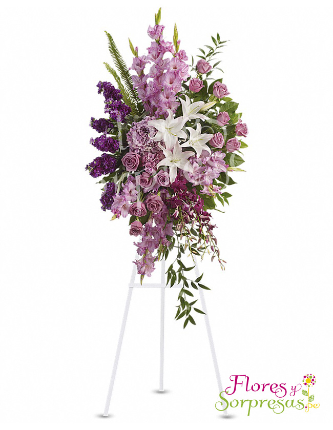 Arreglo Institucional 06