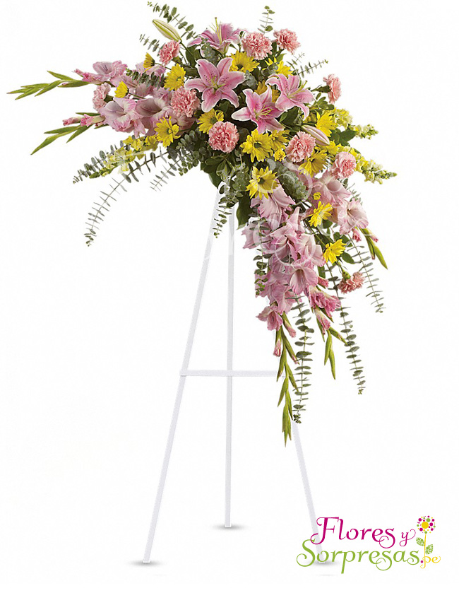 Arreglo Institucional 07