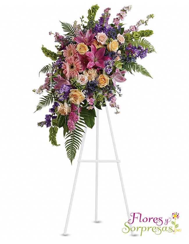 Arreglo Institucional 08