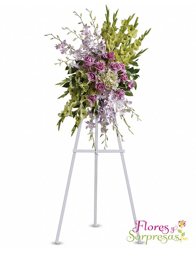 Arreglo Institucional 09