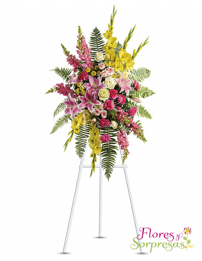 Arreglo Institucional 10