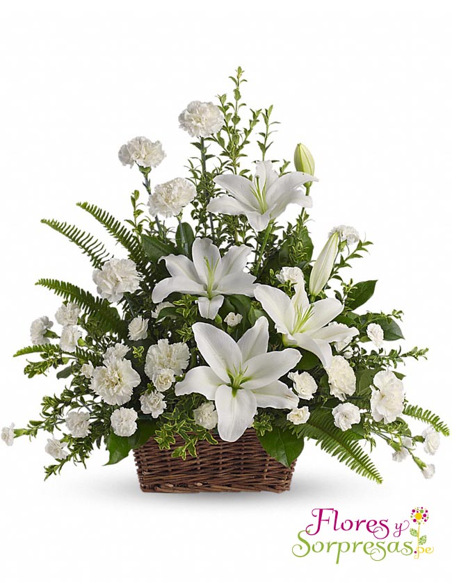Canasta Fúnebre 09