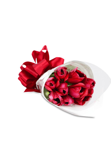 Ramo de 10 tulipanes