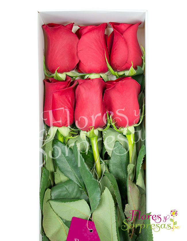 Caja de 6 Rosas Rojas