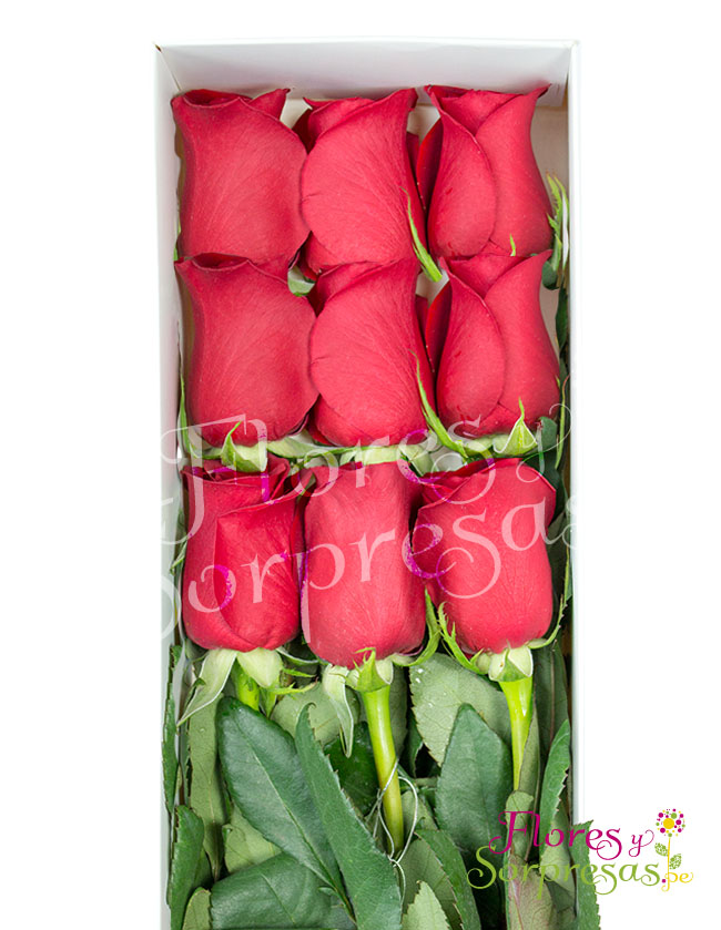 Caja de 9 Rosas Rojas