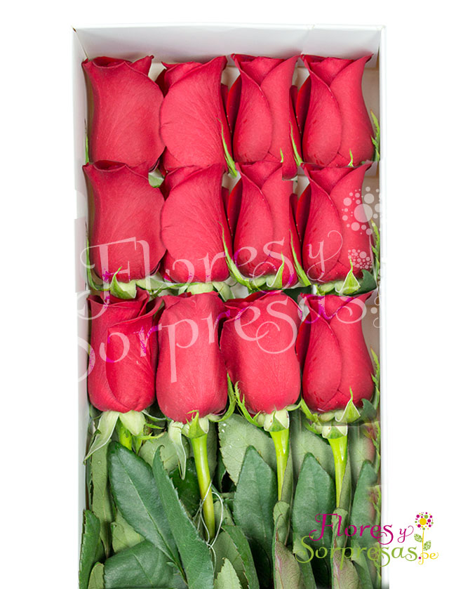 Caja de 12 Rosas Rojas