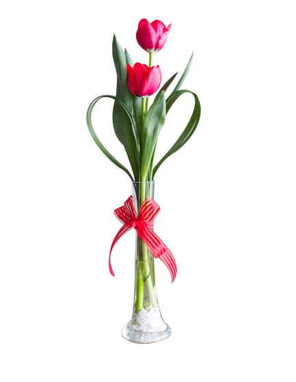 Florero de 2 tulipanes FL43