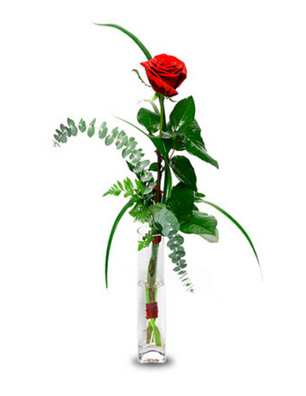 5 Floreros con una rosa roja