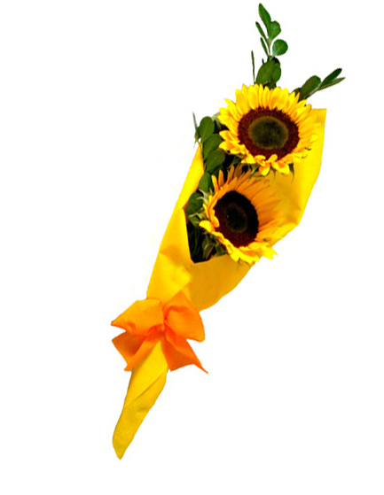 Ramo de 2 Girasoles con lazo