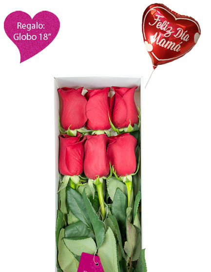 Zoológico de noche formación Peluquero Caja con 6 rosas Delivery Lima y Callao