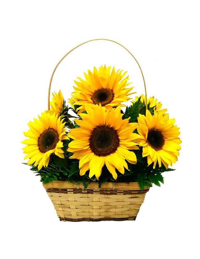 Canasta con girasoles DM510