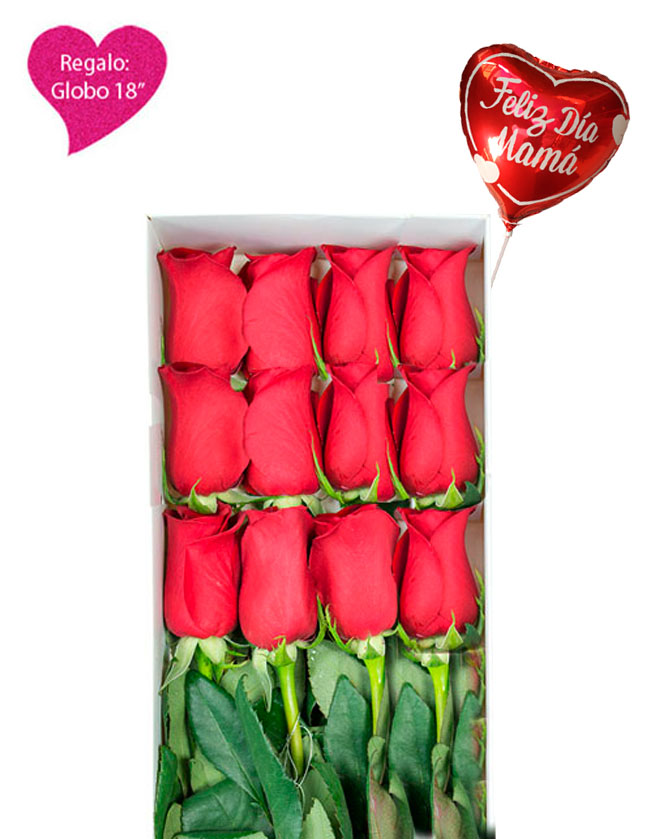 Caja de 12 Rosas Rojas CA518