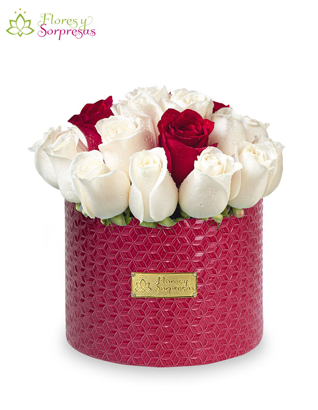 Box de 24 Rosas BP847