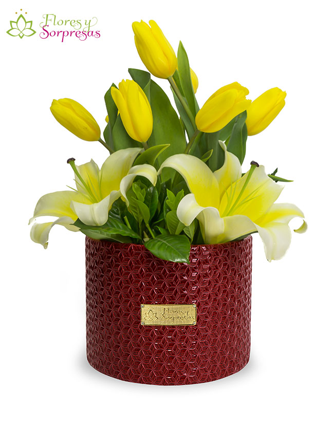 Box de 8 Tulipanes