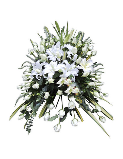 Manto Fúnebre 06