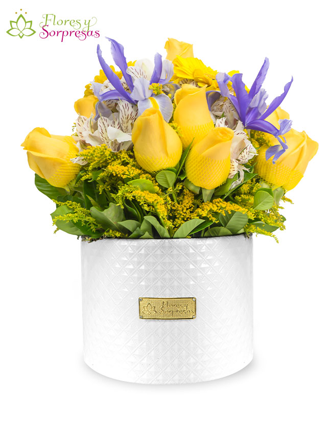 Box de 14 Rosas BP854