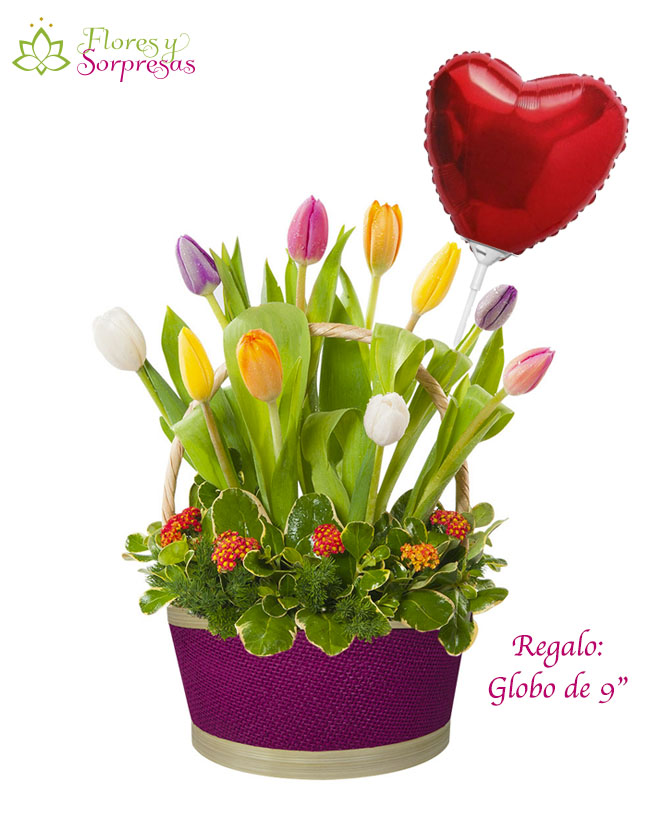 Romina de 12 tulipanes SV863