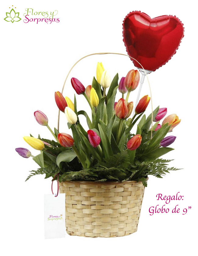 Canasta con 24 tulipanes SV867