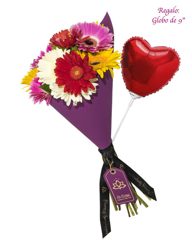 Ramo Purple de 12 Gerberas