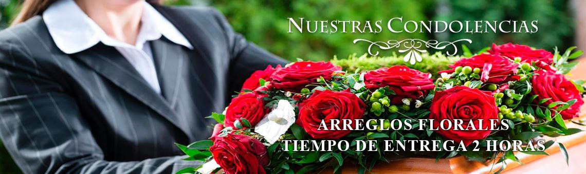 Flores y Sorpresas