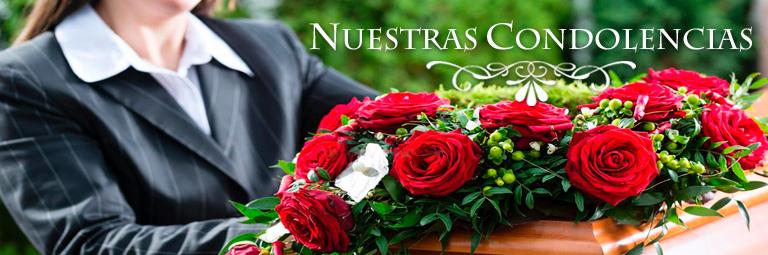 Flores y Sorpresas