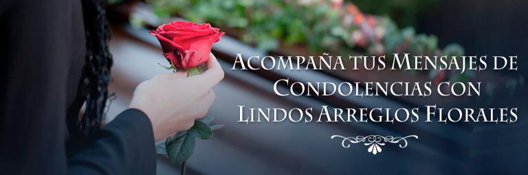 Flores y Sorpresas